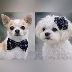 Huxley & Kent Dog Pet Wedding Bow Tie and Flower Collar accessory lot! New